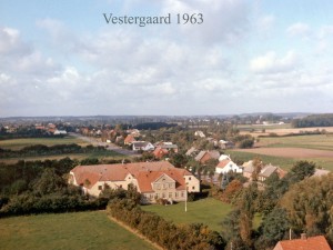 6-Vestergaard