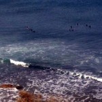 024surfere