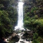 040erskinefalls