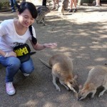 076kangaroo