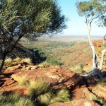 114kingscanyon