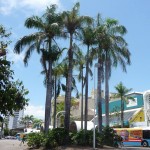 183cairns