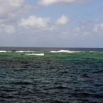 194reef