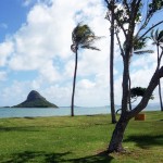 216hawaii
