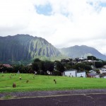 221hawaii